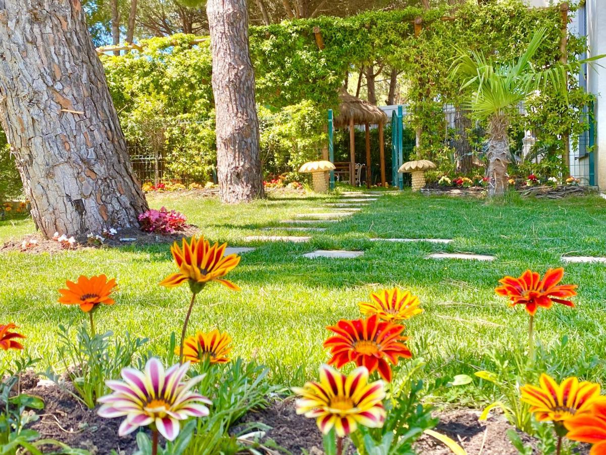 דורס Beach Garden Paradise מראה חיצוני תמונה