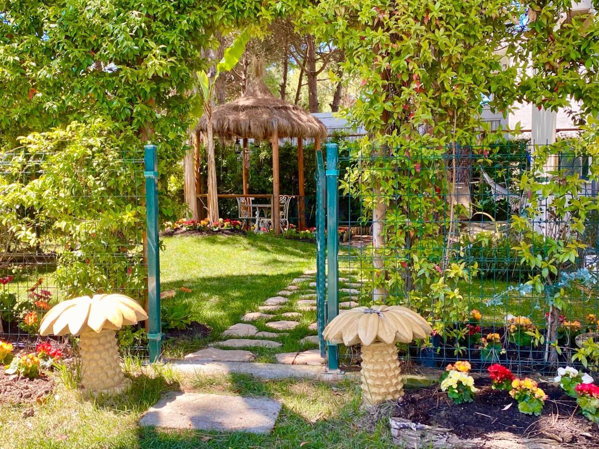 דורס Beach Garden Paradise מראה חיצוני תמונה